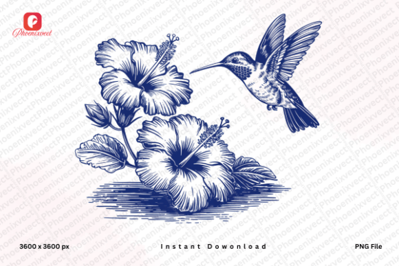 Download Vintage Hibiscus Hummingbird PNG - Bird png Collection